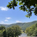 Cabane en bois - LE PIC VERT - TOURNAVAUX - Ardennes