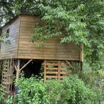 Cabane dans les arbres - CERISE - FUMAY - Ardennes
