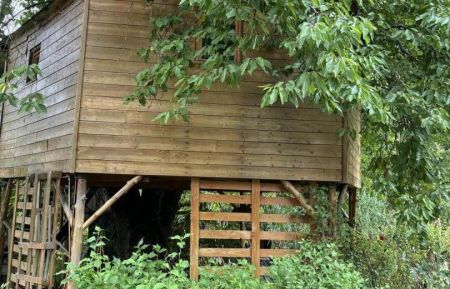 Cabane dans les arbres555 Fumay - Ardennes - photo